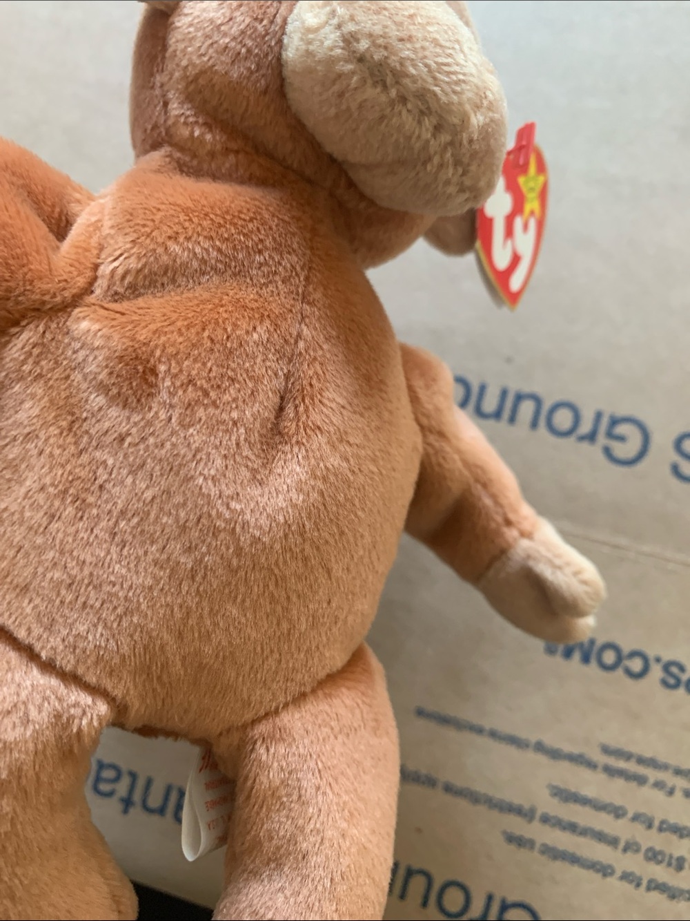 ๐ Bongo the Monkey Ty Beanie Baby Babies 1995 Tag - Picture 8 of 8